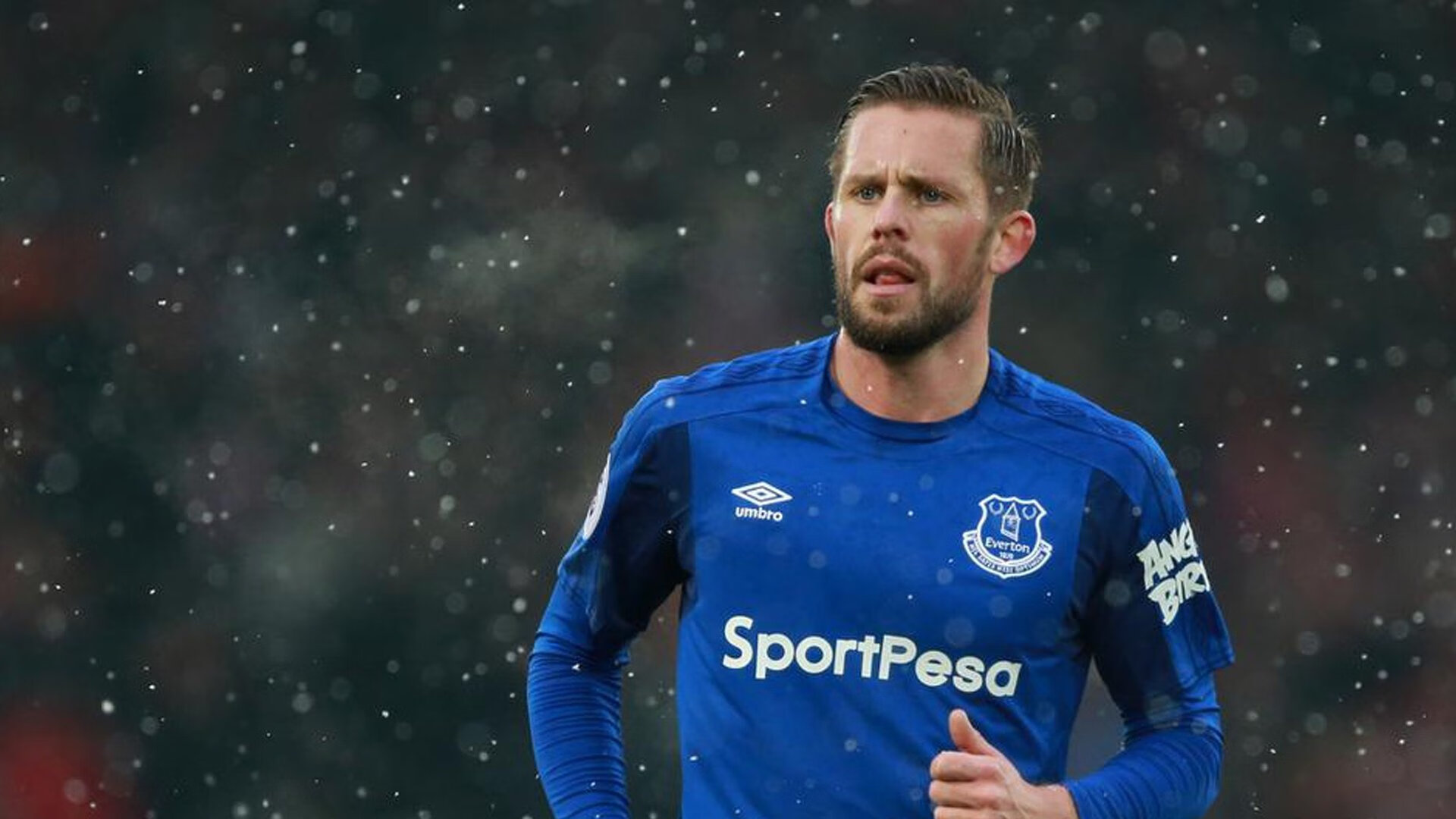 游泳与跳水项目总体表现保持均衡，跳水和游泳哪个影响力大